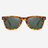 Square Wayfare PC or CP  Men's Sunglasses Rey
